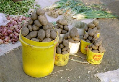 305 aardappels